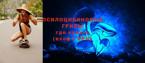 винт Алексеевка