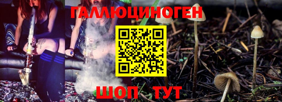 Галлюциногенные грибы мицелий Уссурийск