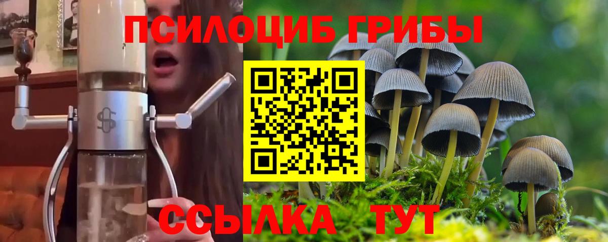 Уссурийск  Псилоцибиновые грибы Psilocybine cubensis  Вход с VPN 